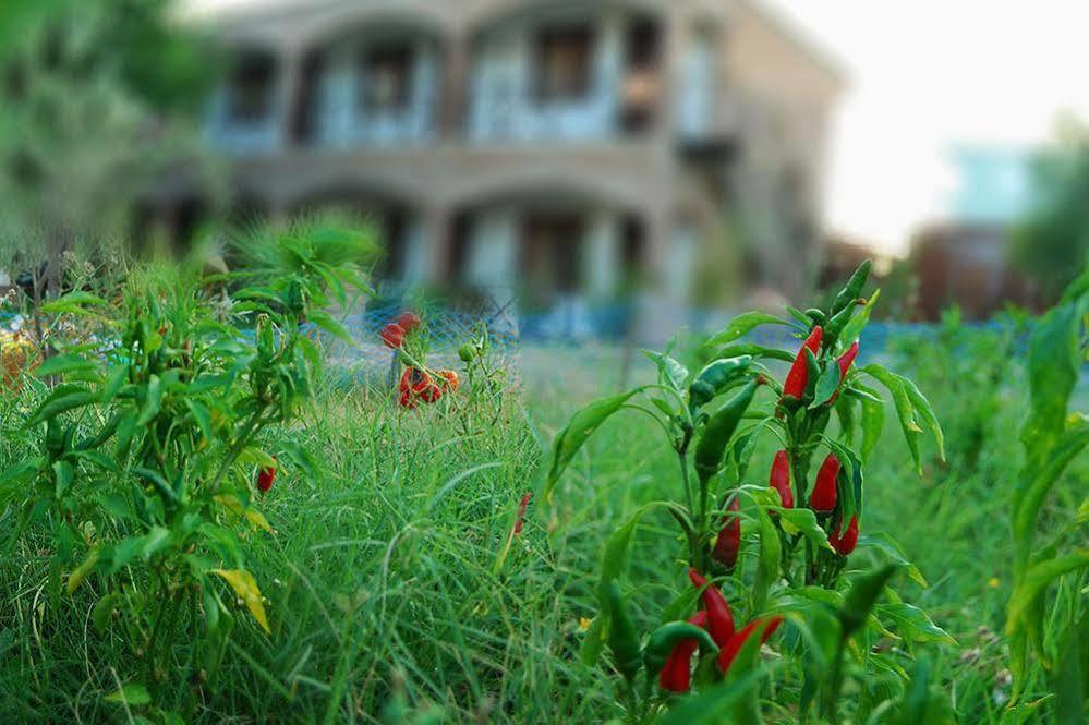 Cunda Deniz Hotel Ayvalik Exterior photo